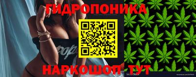 альфа пвп Новокубанск