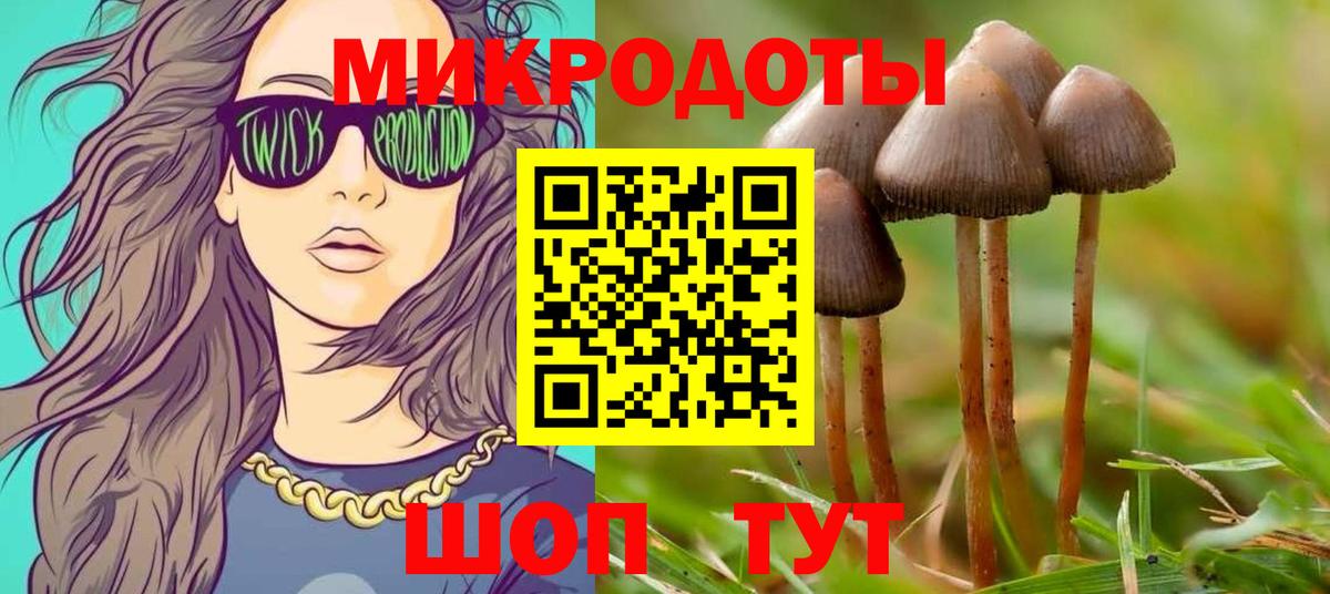 Псилоцибиновые грибы Cubensis  Вход с VPN  Татарск  Псилоцибиновые грибы GOLDEN TEACHER 